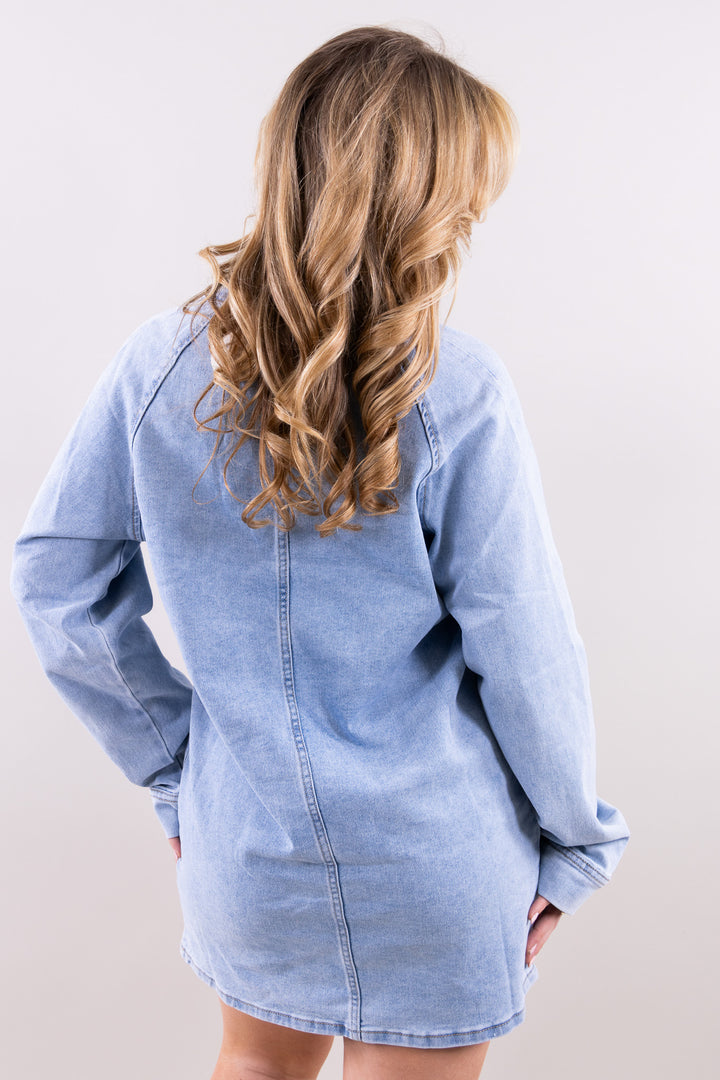 Fiora denim dress